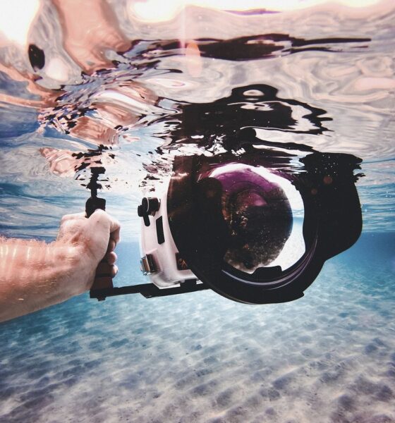 A person's hand holding a camera