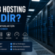 web hosting nedir